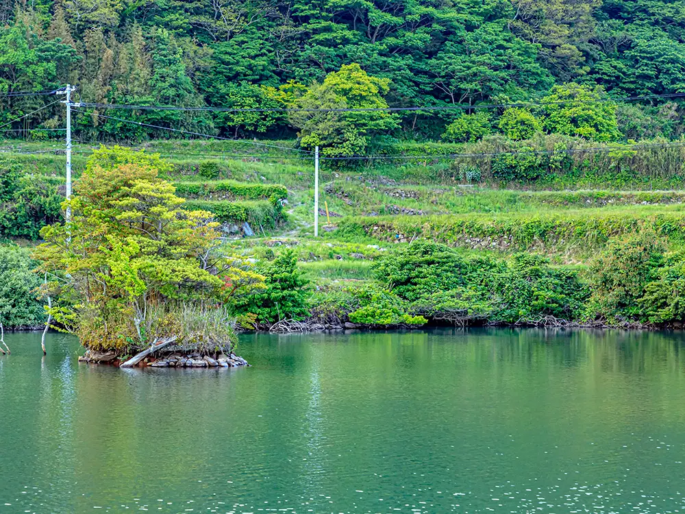 ため池